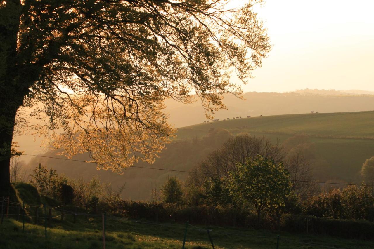 Devon Country Paradise Тависток Экстерьер фото